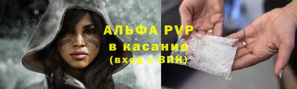 спиды Россошь