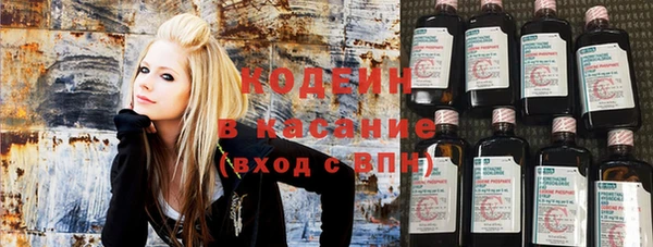 ПСИЛОЦИБИНОВЫЕ ГРИБЫ Абаза