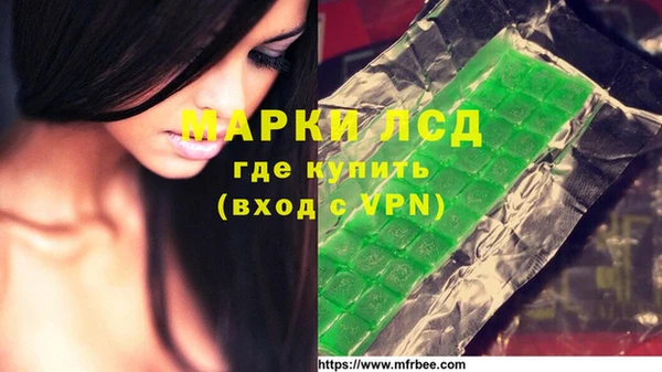ПСИЛОЦИБИНОВЫЕ ГРИБЫ Абаза